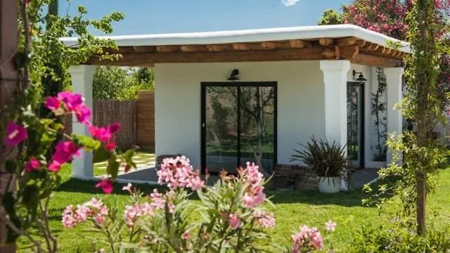 アパート Charming Studio In The House Of Envi'S House San José スペイン